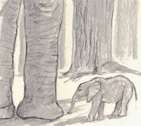 A Tiny Elephant